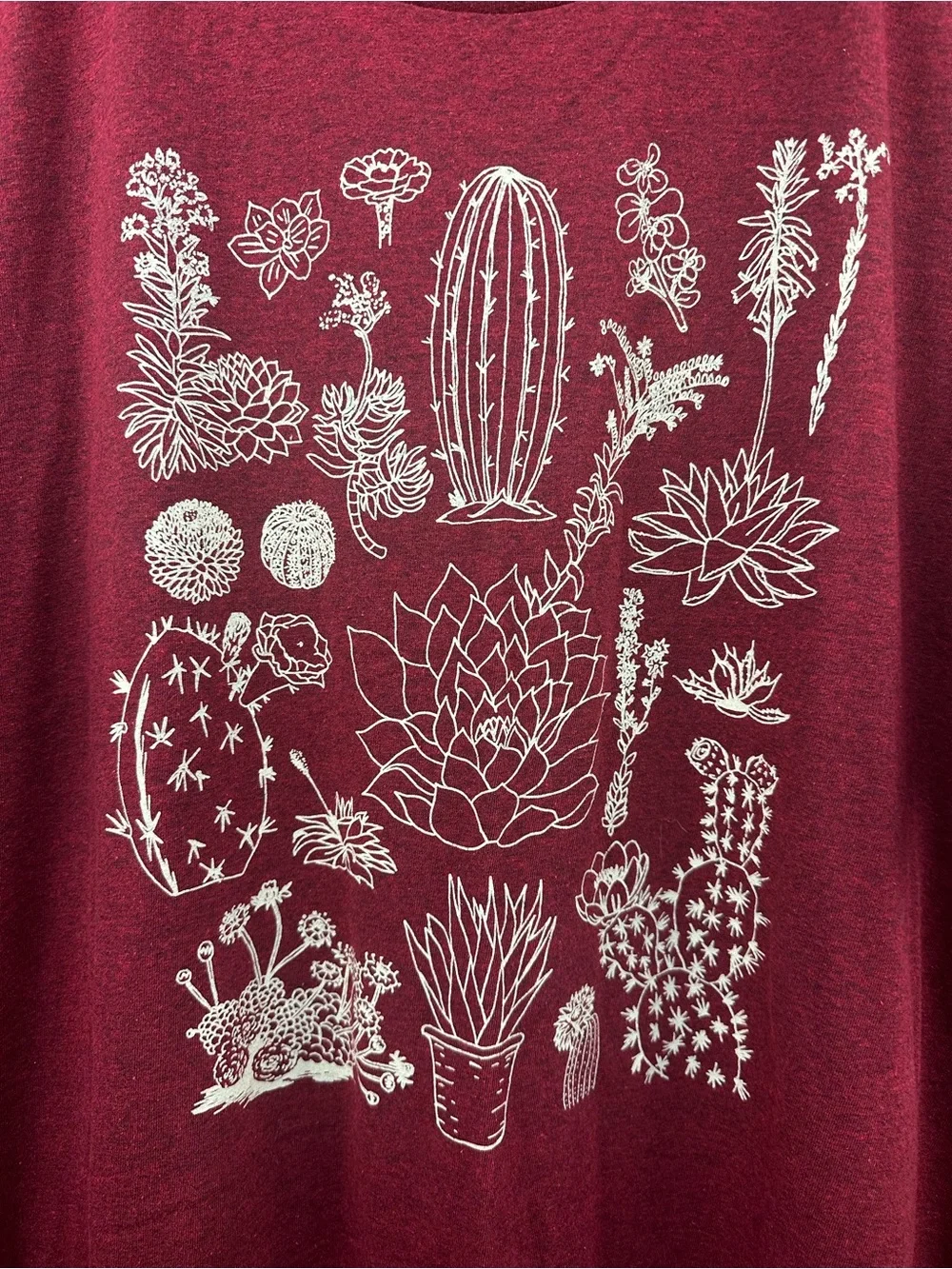 Sonoma maroon short